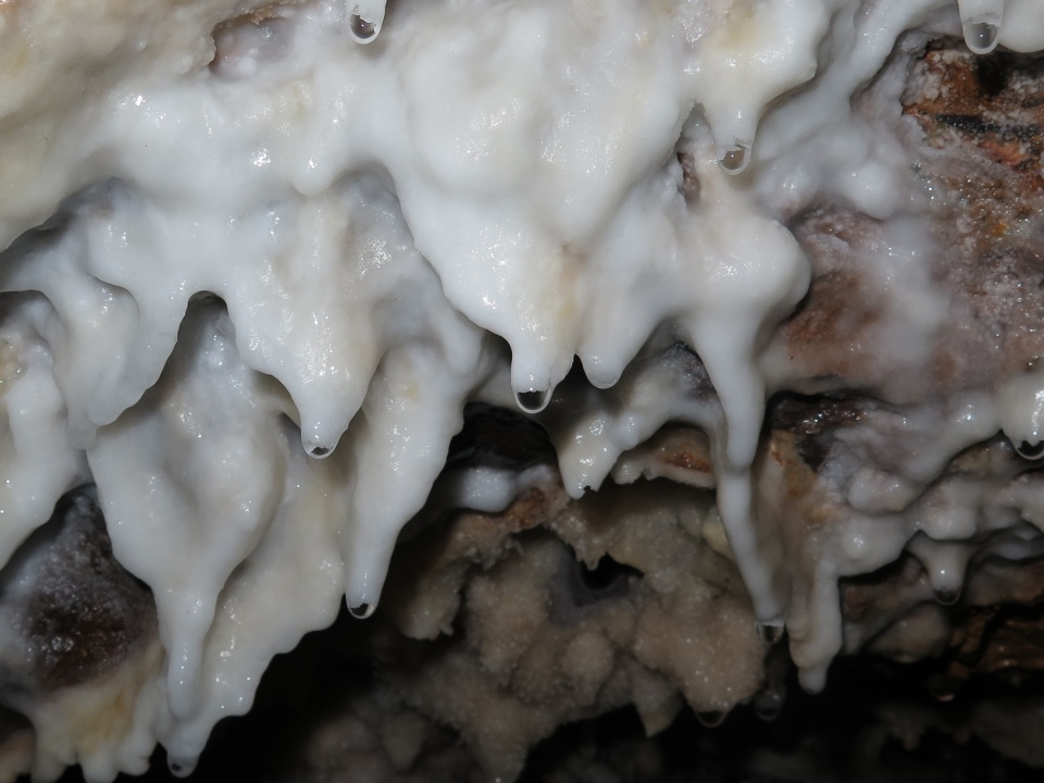 cave water drops
